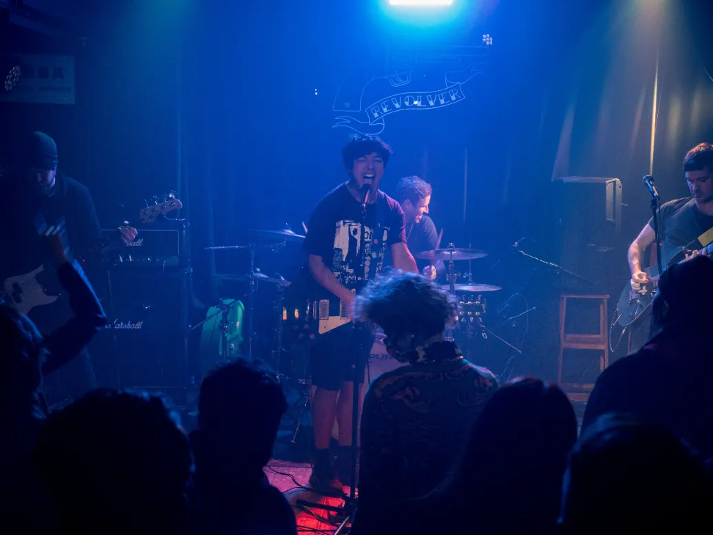 Pangolin on stage from taken through members of the crowd