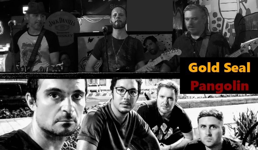 Gig poster for Pangolin and Gold Seal featuring pictures of both bands